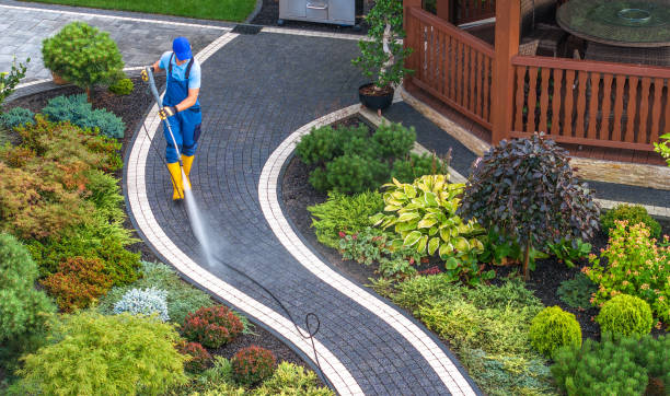 Best Roof Pressure Washing  in Comfort, TX